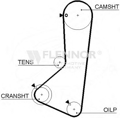 Engine Timing Belt 76123X29 (FLENNOR)