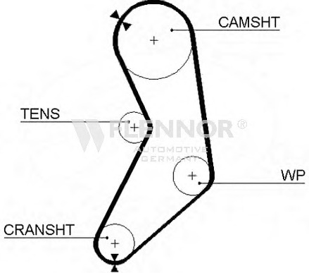 Engine Timing Belt 77107X19 (FLENNOR)