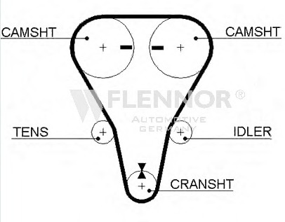 Engine Timing Belt 77123X22 (FLENNOR)